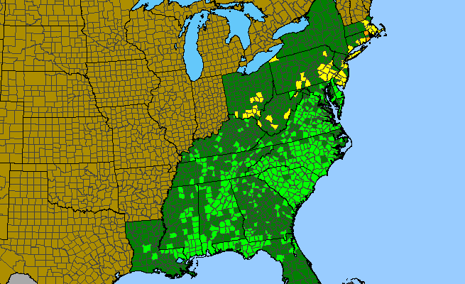 The range of Ageratina aromatica